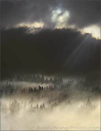 misty-mountain-RobinW